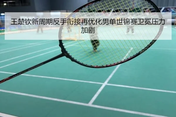 王楚钦新周期反手衔接再优化男单世锦赛卫冕压力加剧