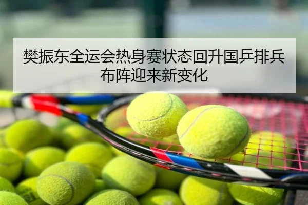 樊振东全运会热身赛状态回升国乒排兵布阵迎来新变化