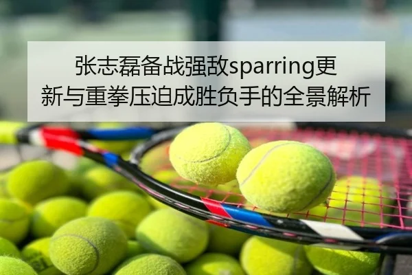 张志磊备战强敌sparring更新与重拳压迫成胜负手的全景解析